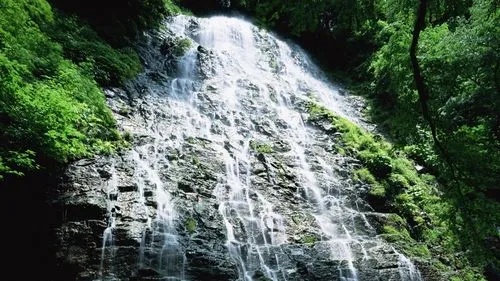 高标准可靠性独特